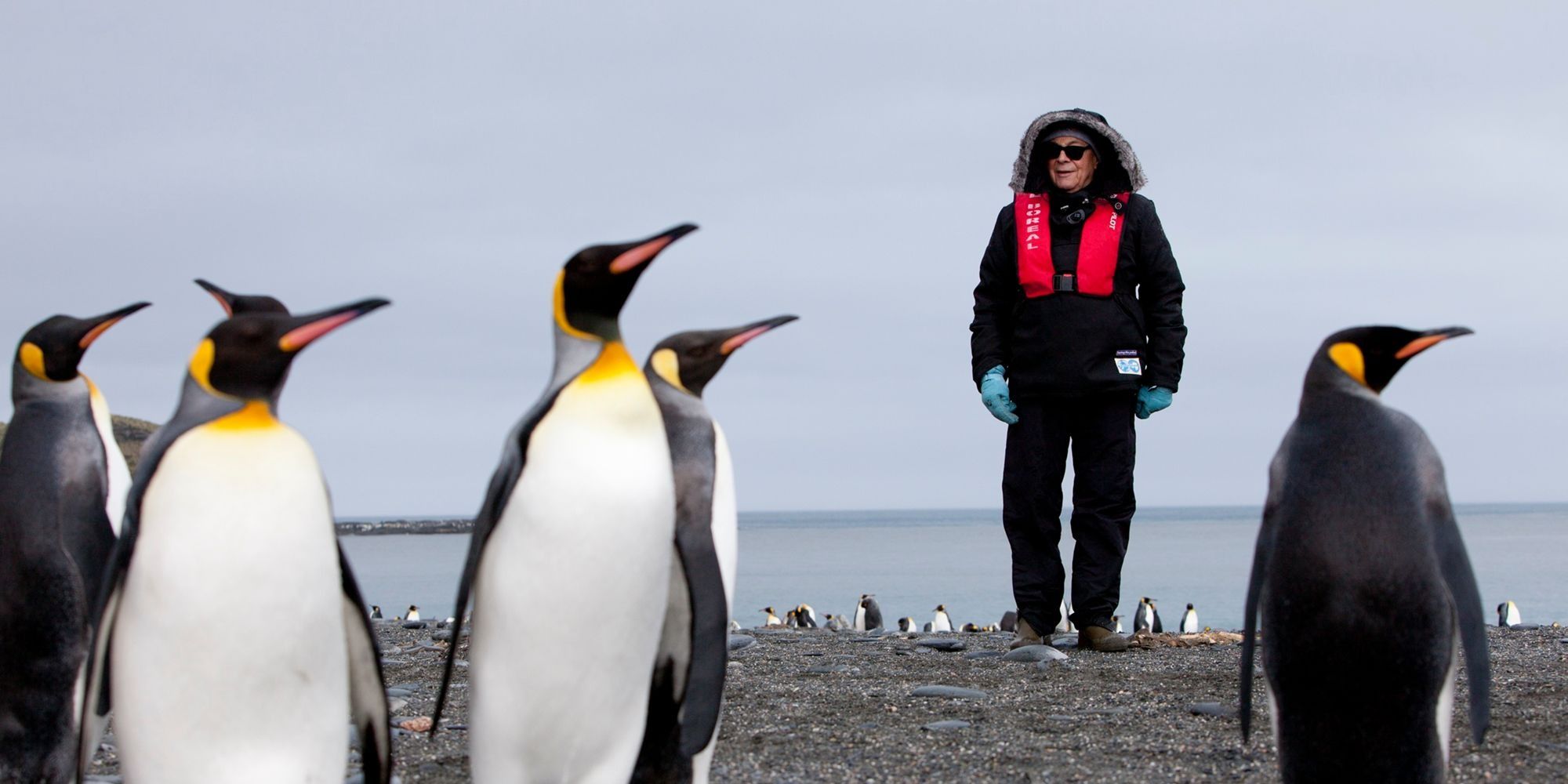 De nouvelles photos de Michel Rocard en Antarctique